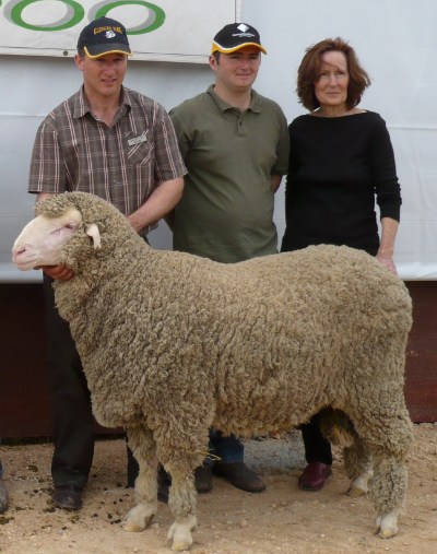 A massive poll ram weighing 126kg at 17 months of age topped the on propety ram sale selling to the Humphries family for $3,050.  